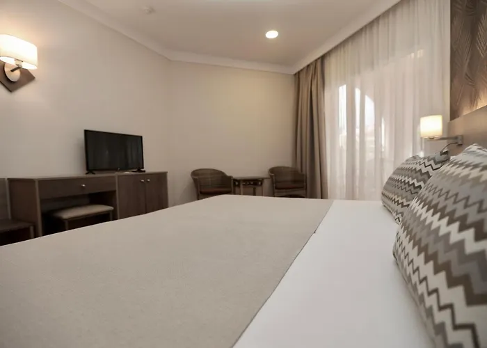 Hotel Puerto Palace